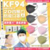 $319 韓國 KF94 Protect 2D 口罩四層 KF94 防疫成人口罩