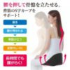 $286 日本🇯🇵NEEDS LABO COSIOS 坐姿矯正椅背